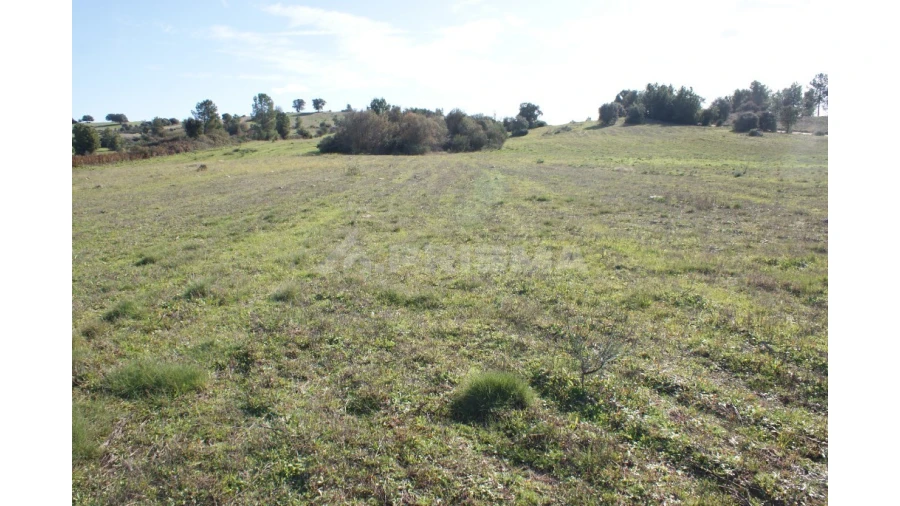 Terreno para Venda em Vale de Prazeres e Mata da Rainha Foto 17