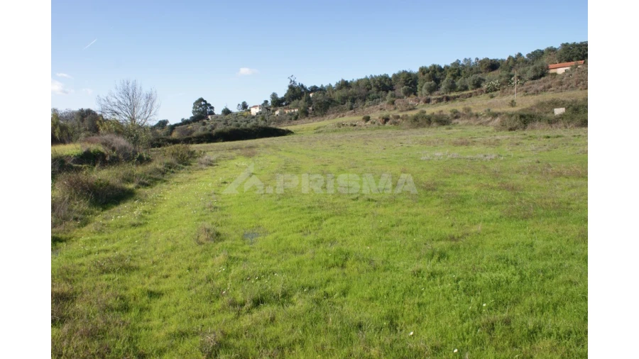 Terreno para Venda em Vale de Prazeres e Mata da Rainha Foto 20