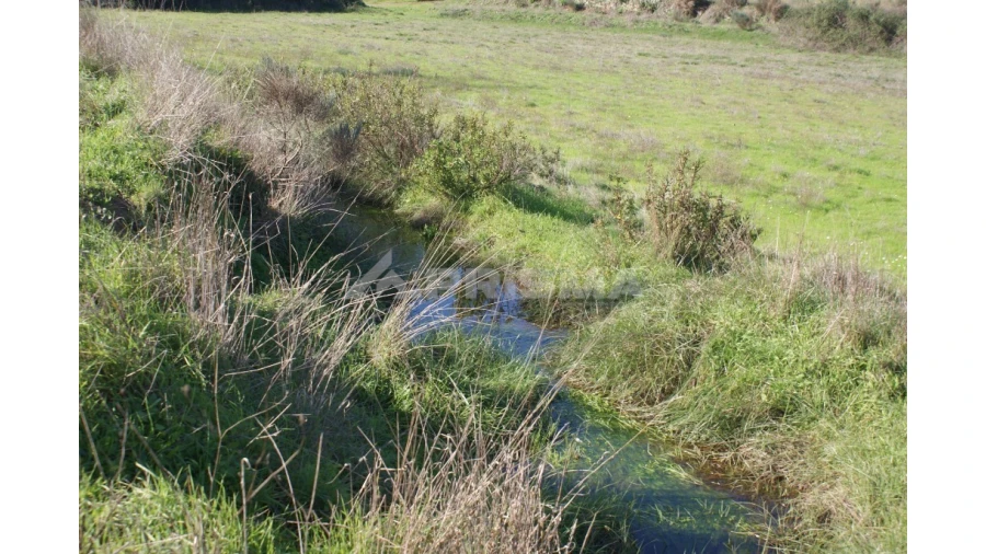 Terreno para Venda em Vale de Prazeres e Mata da Rainha Foto 18