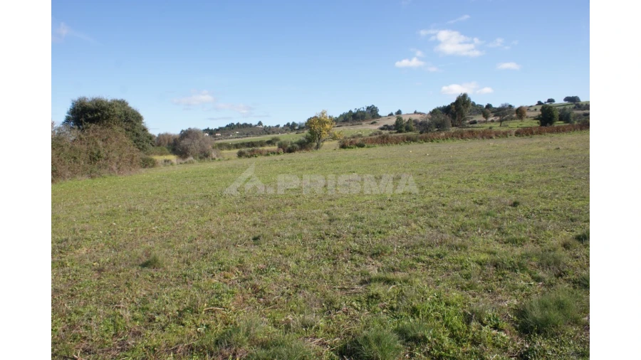 Terreno para Venda em Vale de Prazeres e Mata da Rainha Foto 4