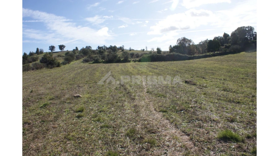 Terreno para Venda em Vale de Prazeres e Mata da Rainha Foto 12