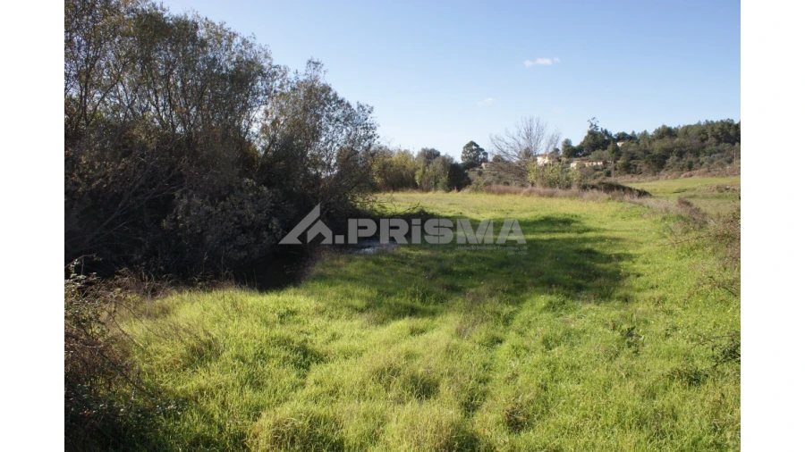 Terreno para Venda em Vale de Prazeres e Mata da Rainha Foto 19