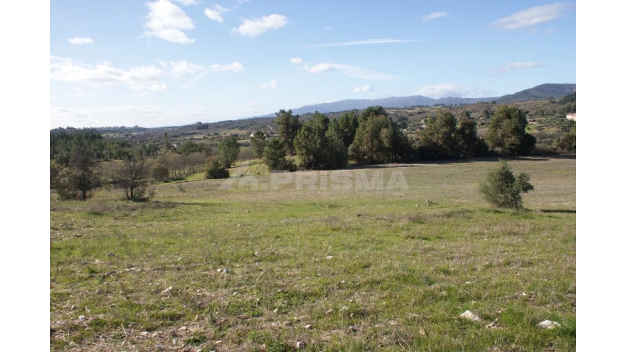Terreno para Venda em Vale de Prazeres e Mata da Rainha Foto 31