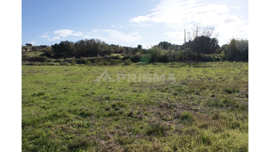 Terreno para Venda em Vale de Prazeres e Mata da Rainha Foto 23