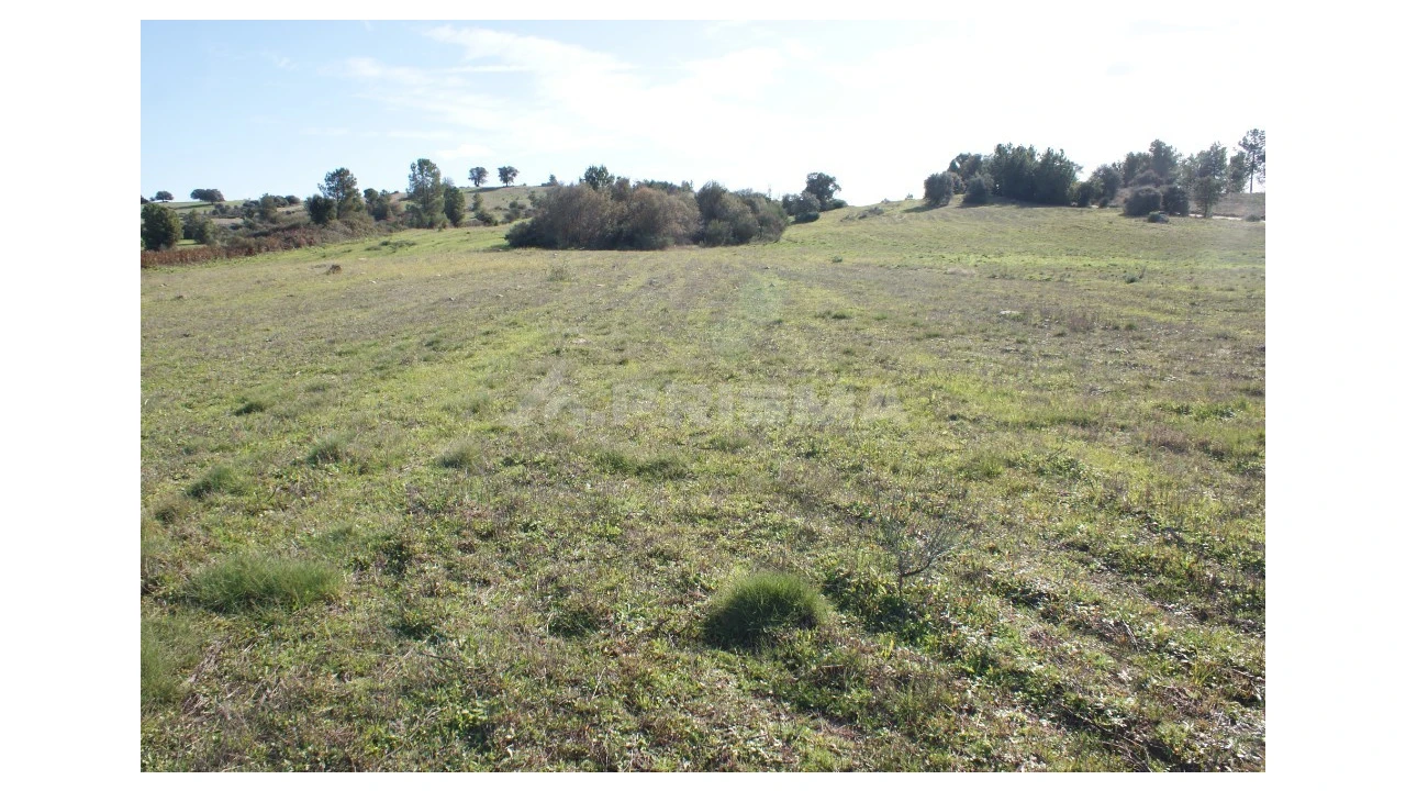 Terreno para Venda em Vale de Prazeres e Mata da Rainha Foto 17