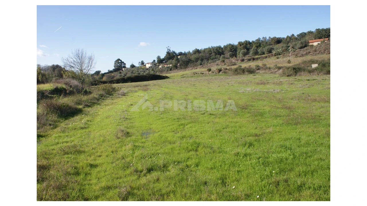 Terreno para Venda em Vale de Prazeres e Mata da Rainha Foto 20