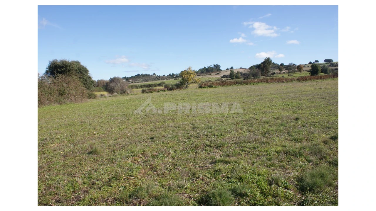 Terreno para Venda em Vale de Prazeres e Mata da Rainha Foto 4