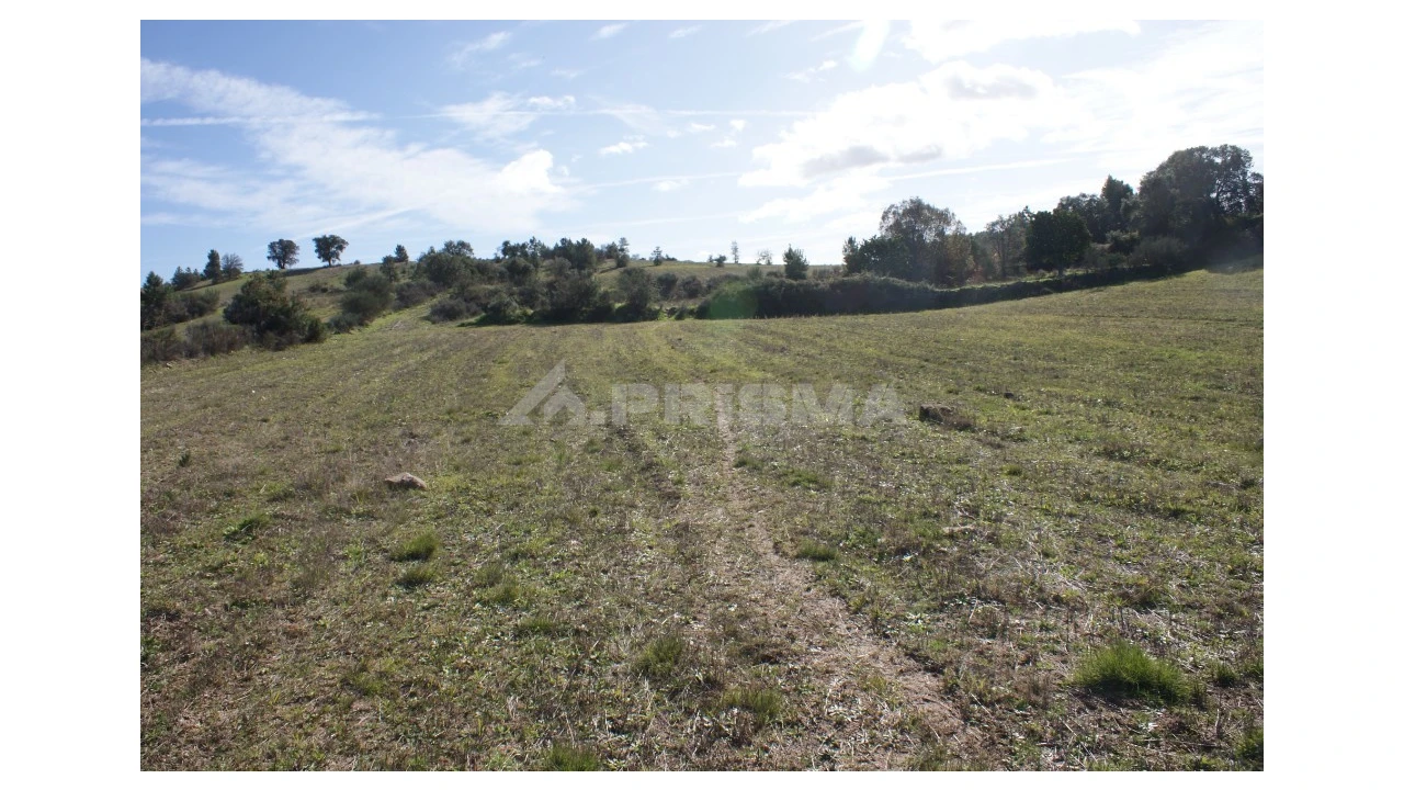 Terreno para Venda em Vale de Prazeres e Mata da Rainha Foto 12