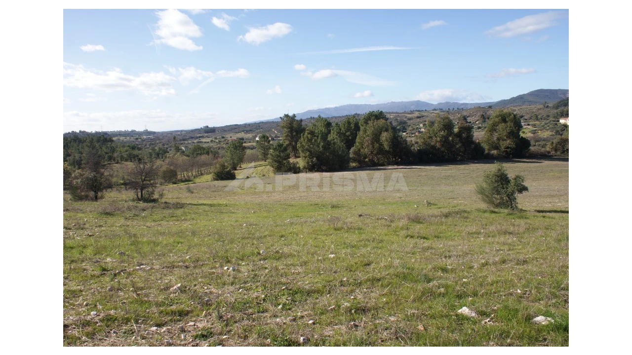 Terreno para Venda em Vale de Prazeres e Mata da Rainha Foto 31