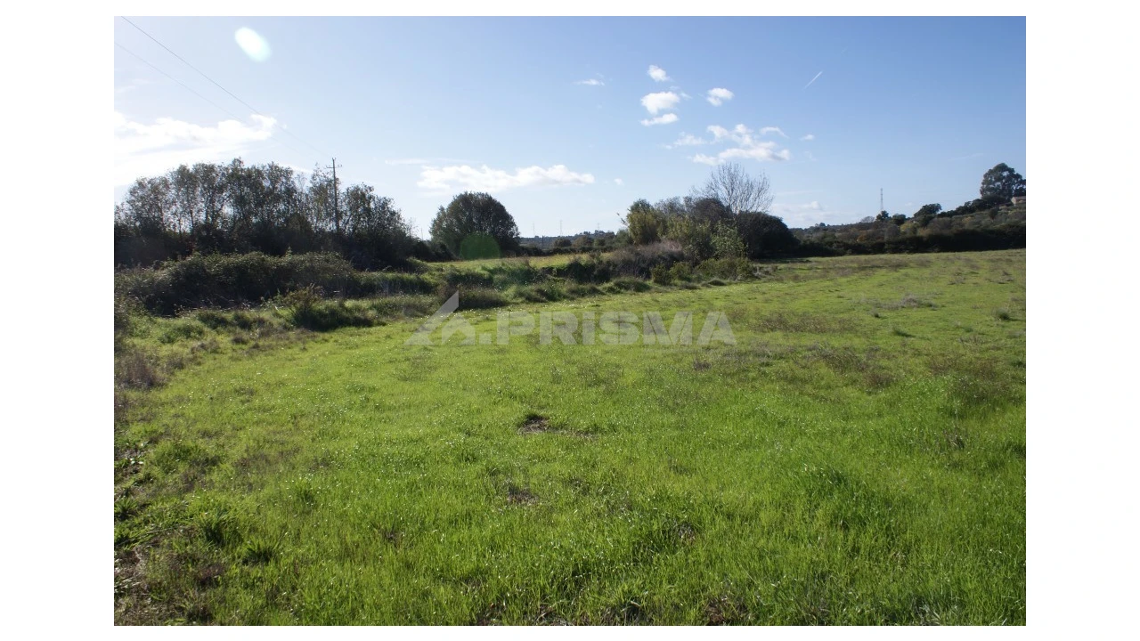 Terreno para Venda em Vale de Prazeres e Mata da Rainha Foto 21
