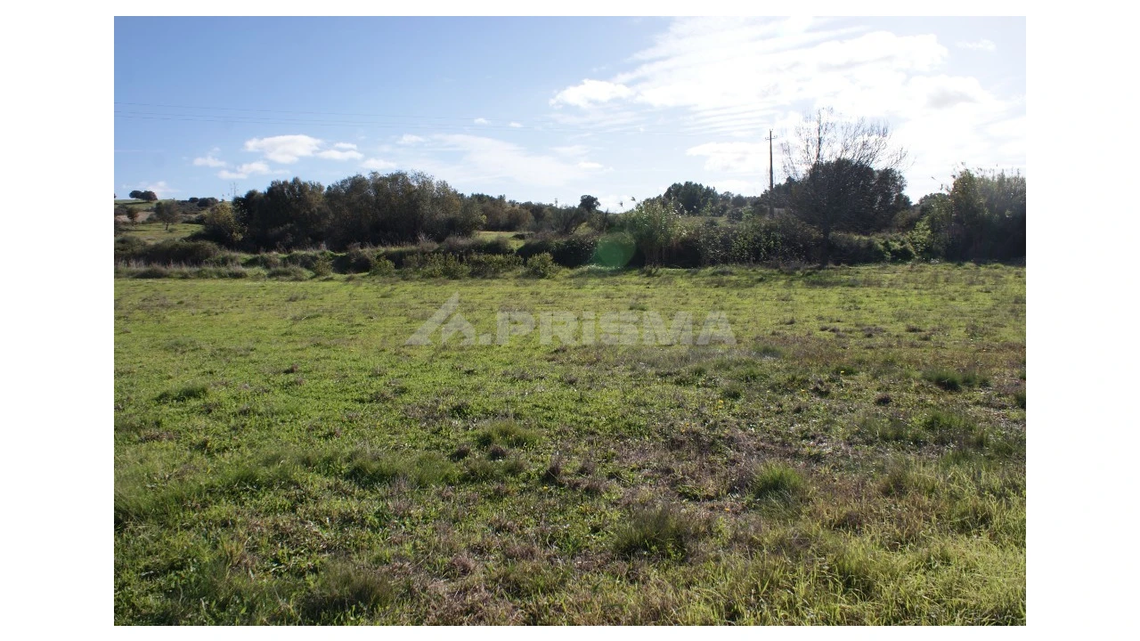 Terreno para Venda em Vale de Prazeres e Mata da Rainha Foto 23