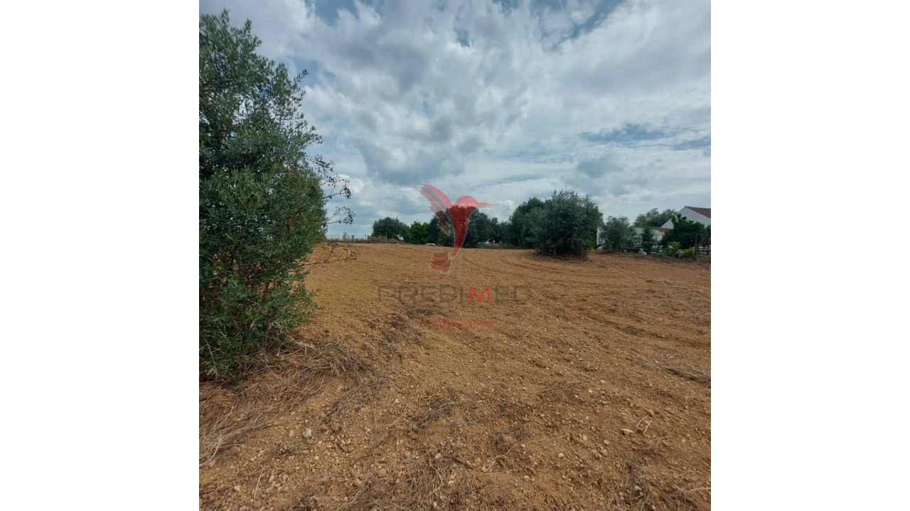 Terreno para Venda em Abitureiras Foto 11