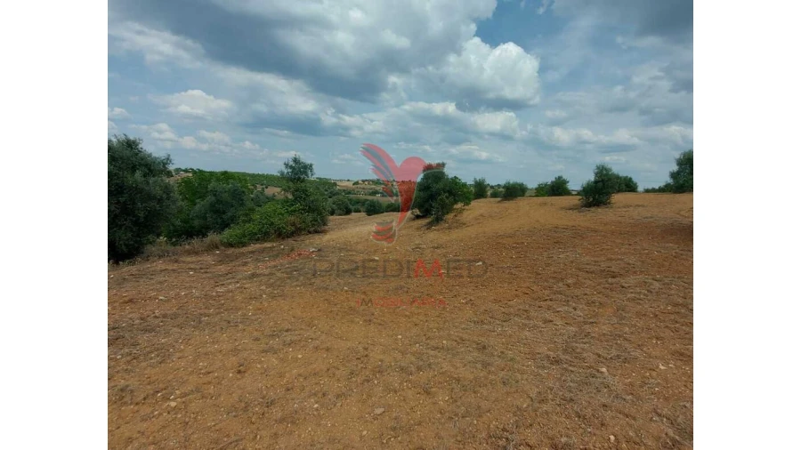 Terreno para Venda em Abitureiras Foto 10