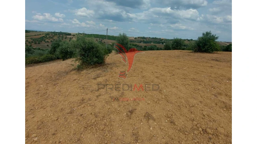 Terreno para Venda em Abitureiras Foto 9