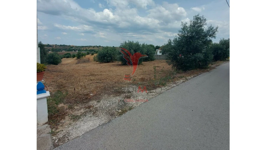 Terreno para Venda em Abitureiras Foto 2