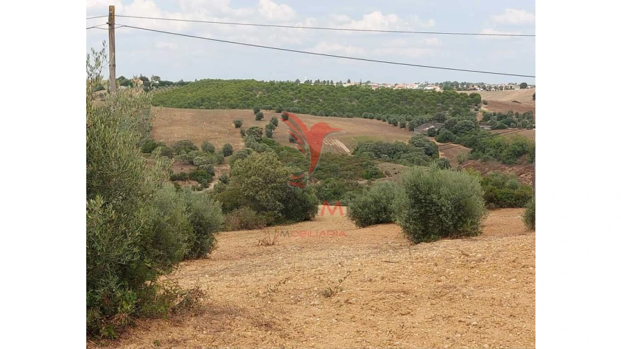 Terreno para Venda em Abitureiras Foto 12