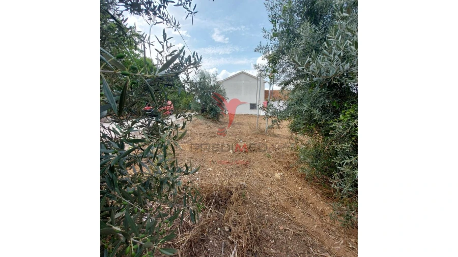 Terreno para Venda em Abitureiras Foto 4