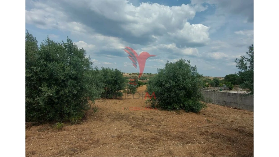 Terreno para Venda em Abitureiras Foto 7