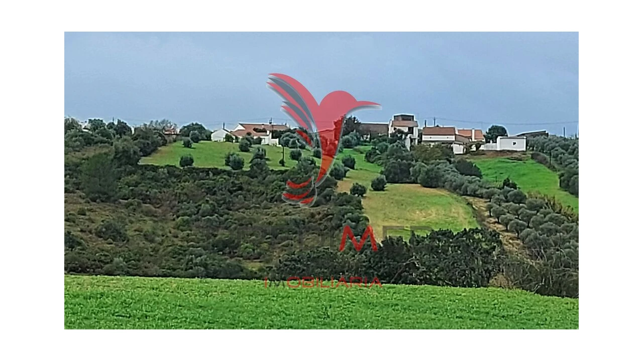 Terreno para Venda em Abitureiras Foto 13