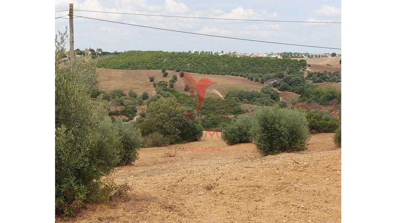 Terreno para Venda em Abitureiras Foto 12