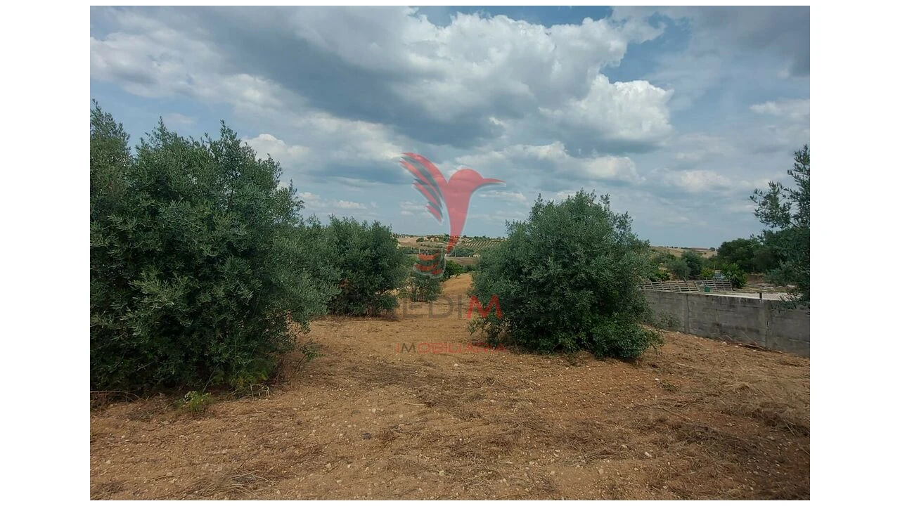 Terreno para Venda em Abitureiras Foto 7