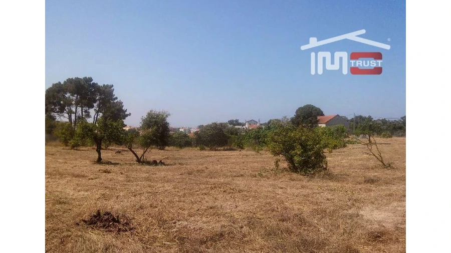 Quinta T2 para Venda em Amora