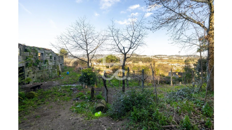 Moradia T4 para Venda em Arnoso (Santa Maria e Santa Eulália) e Sezures Foto 6