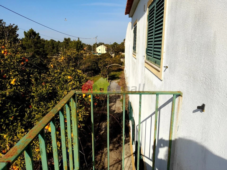Terreno para Venda em Azeitão (São Lourenço e São Simão) Foto 23