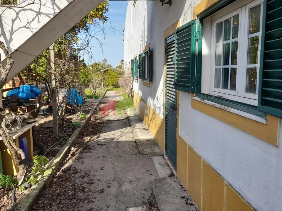 Terreno para Venda em Azeitão (São Lourenço e São Simão) Foto 15