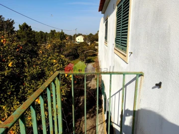 Terreno para Venda em Azeitão (São Lourenço e São Simão)