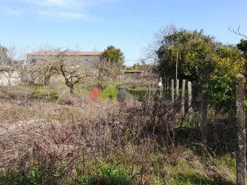 Terreno para Venda em Azeitão (São Lourenço e São Simão)