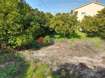 Terreno para Venda em Azeitão (São Lourenço e São Simão)