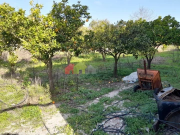 Terreno para Venda em Azeitão (São Lourenço e São Simão)