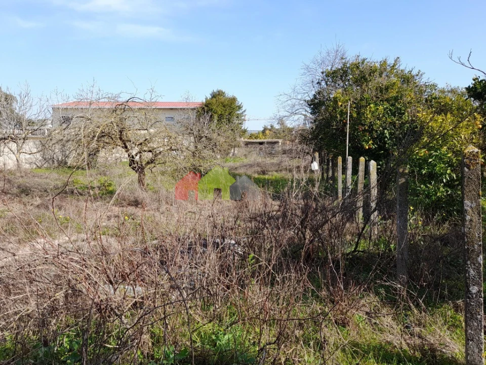 Terreno para Venda em Azeitão (São Lourenço e São Simão) Foto 7