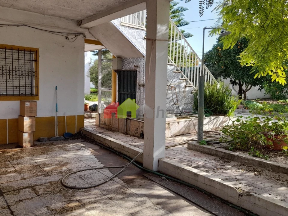 Terreno para Venda em Azeitão (São Lourenço e São Simão) Foto 45