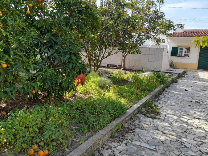 Terreno para Venda em Azeitão (São Lourenço e São Simão) Foto 8