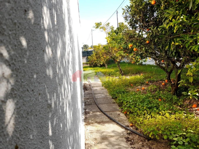 Terreno para Venda em Azeitão (São Lourenço e São Simão) Foto 46