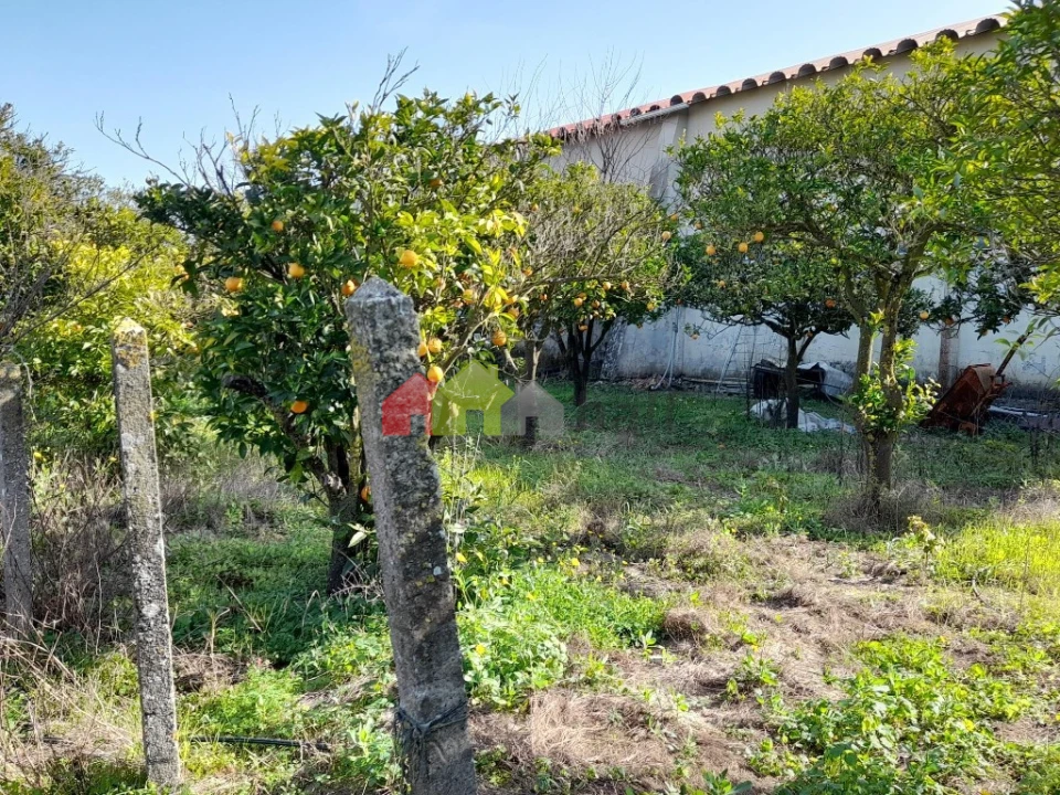 Terreno para Venda em Azeitão (São Lourenço e São Simão) Foto 10