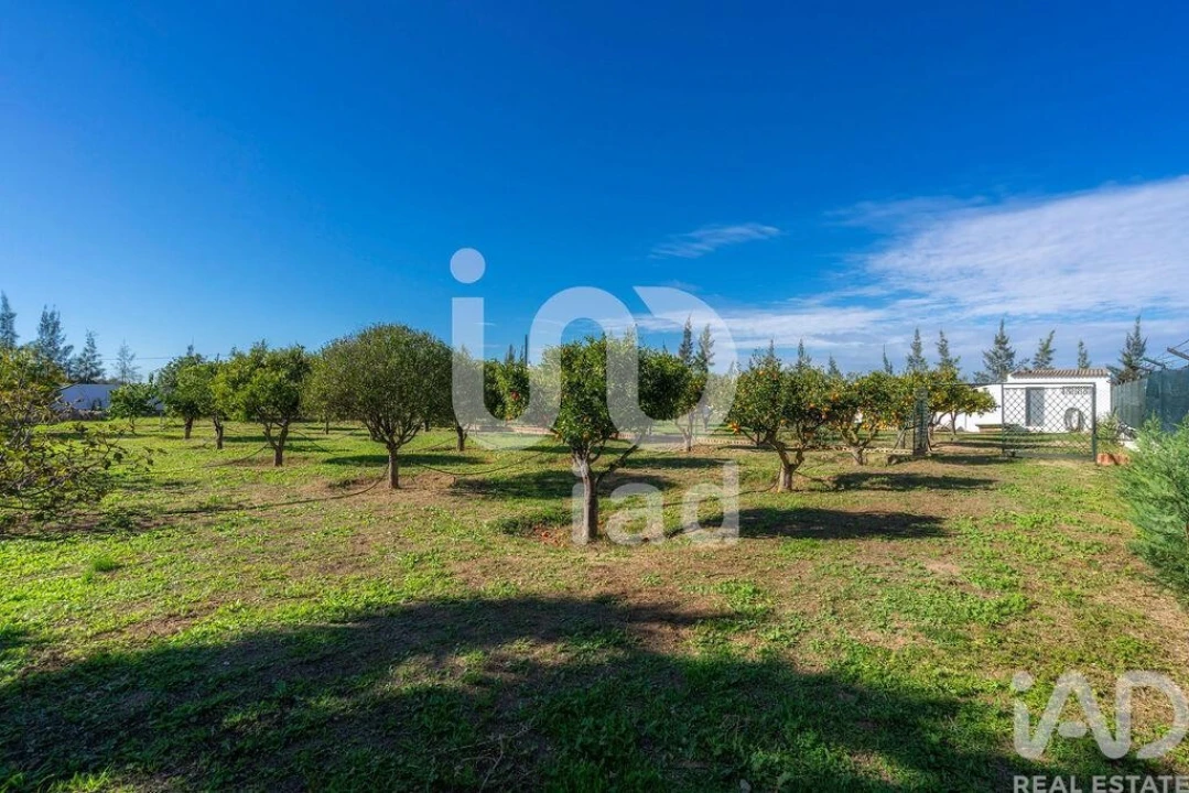 Moradia T12 para Venda em Tavira (Santa Maria e Santiago) Foto 13