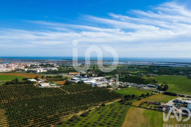 Moradia T12 para Venda em Tavira (Santa Maria e Santiago) Foto 6