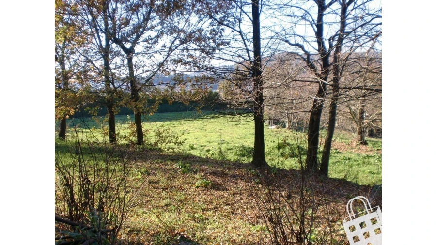 Quinta para Venda em Infias Foto 10