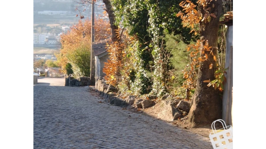 Quinta para Venda em Infias Foto 27