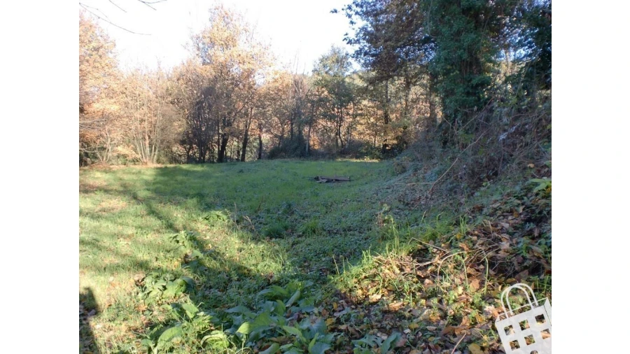 Quinta para Venda em Infias Foto 12