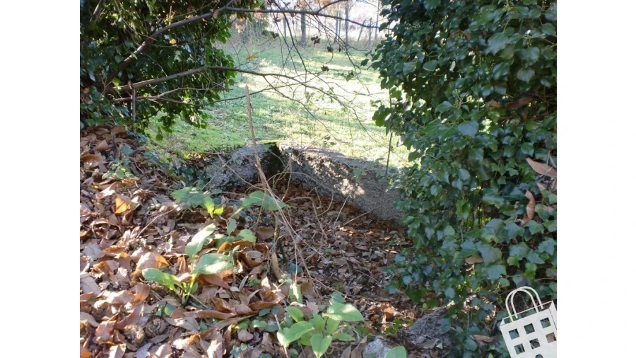 Quinta para Venda em Infias Foto 17