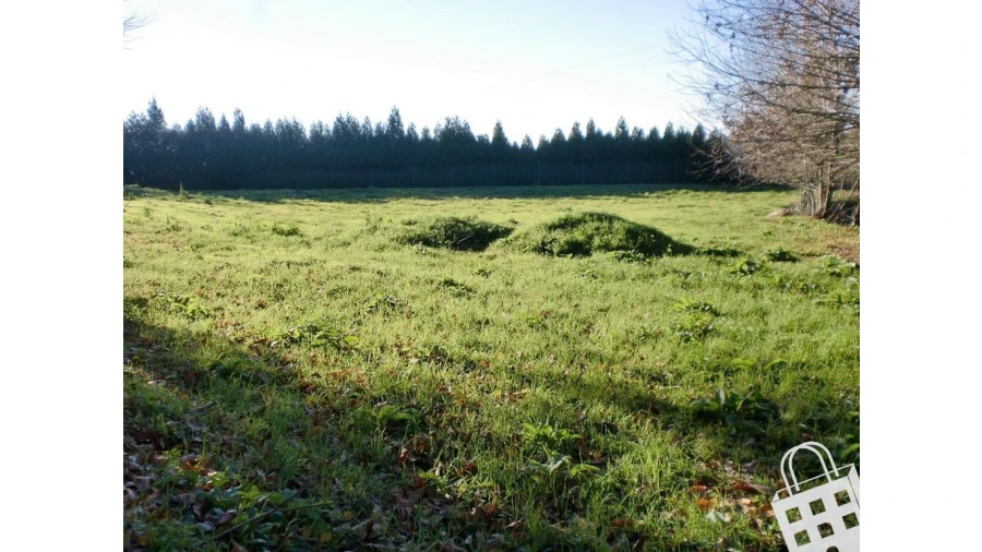 Quinta para Venda em Infias Foto 13