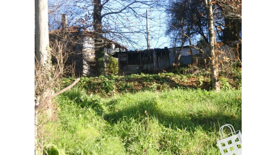 Quinta para Venda em Infias Foto 20