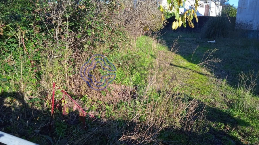 Terreno para Venda em Rates Foto 5