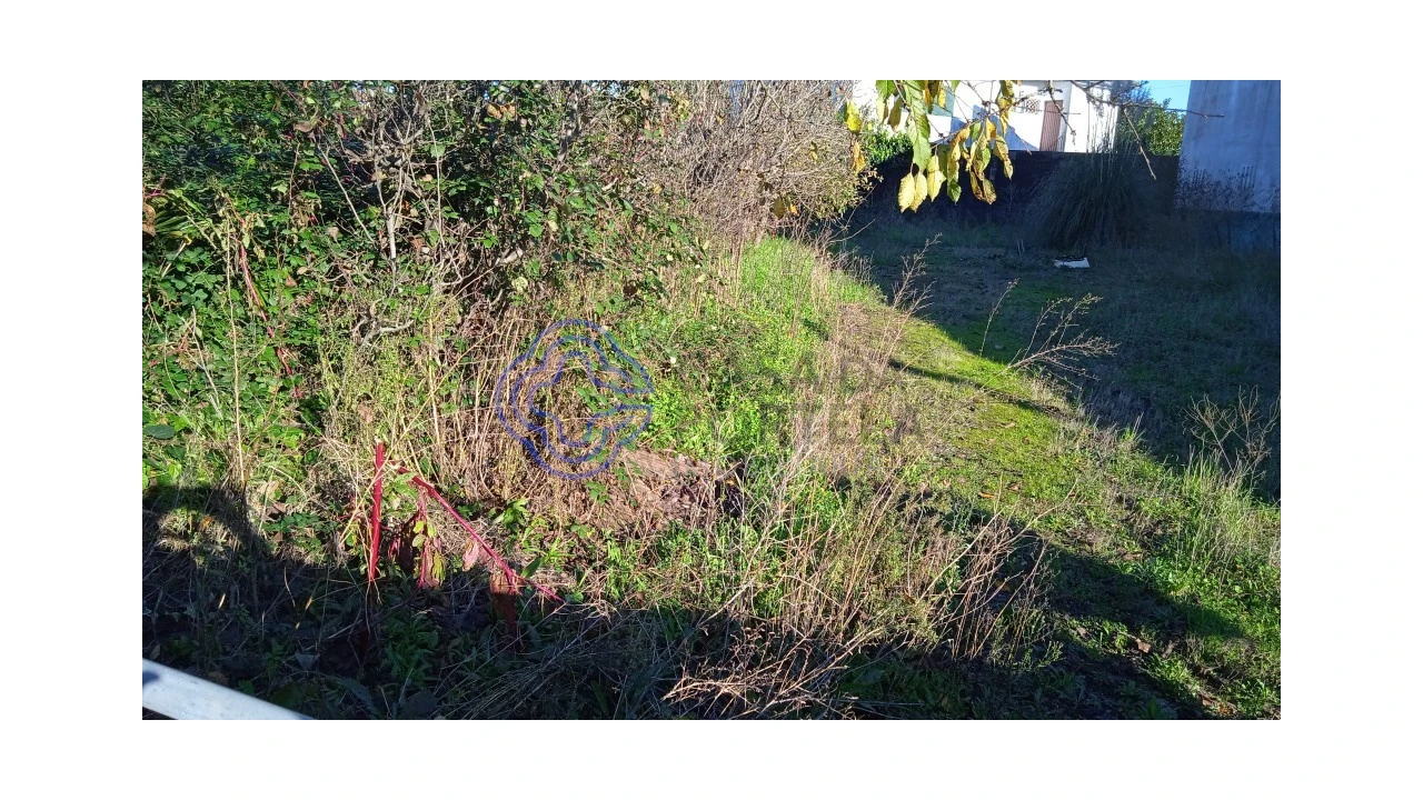 Terreno para Venda em Rates Foto 5