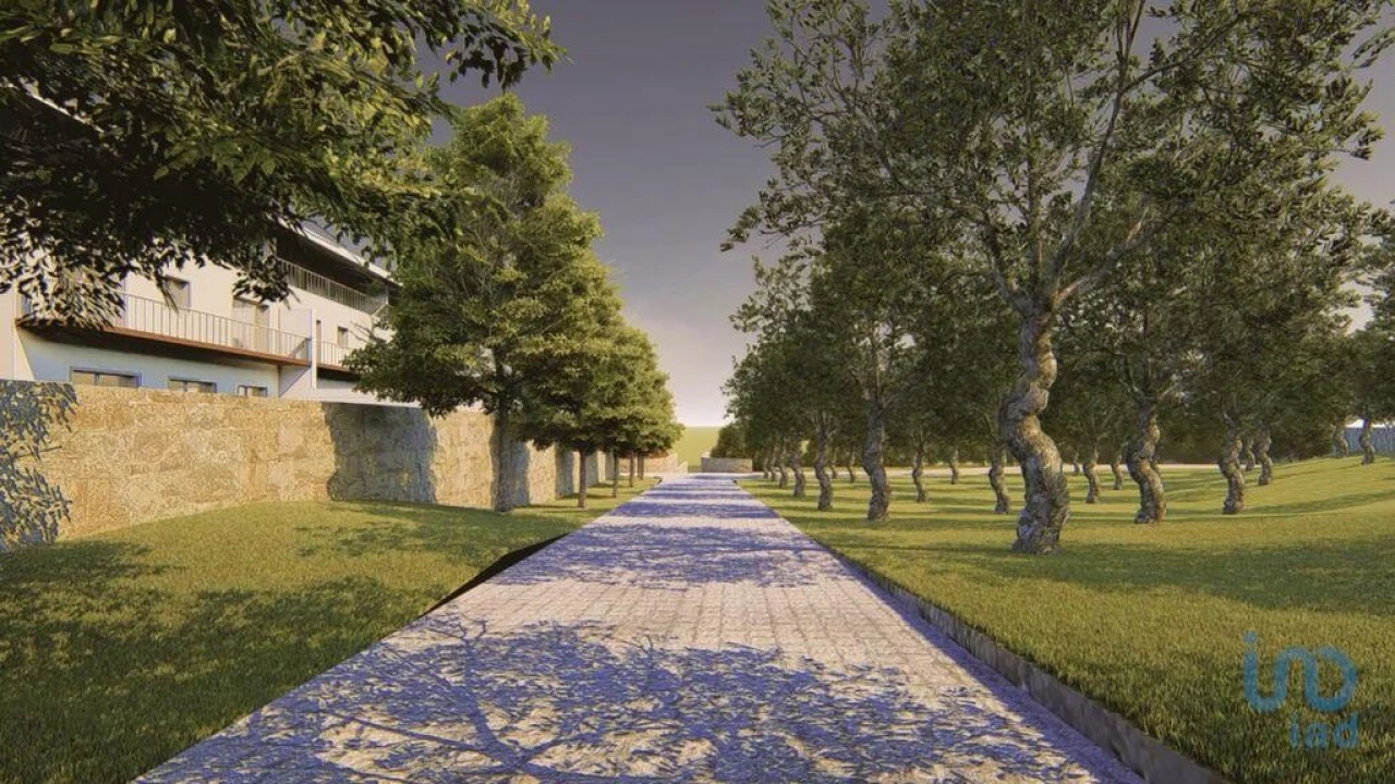 Terreno para Venda em Oliveira do Douro Foto 11