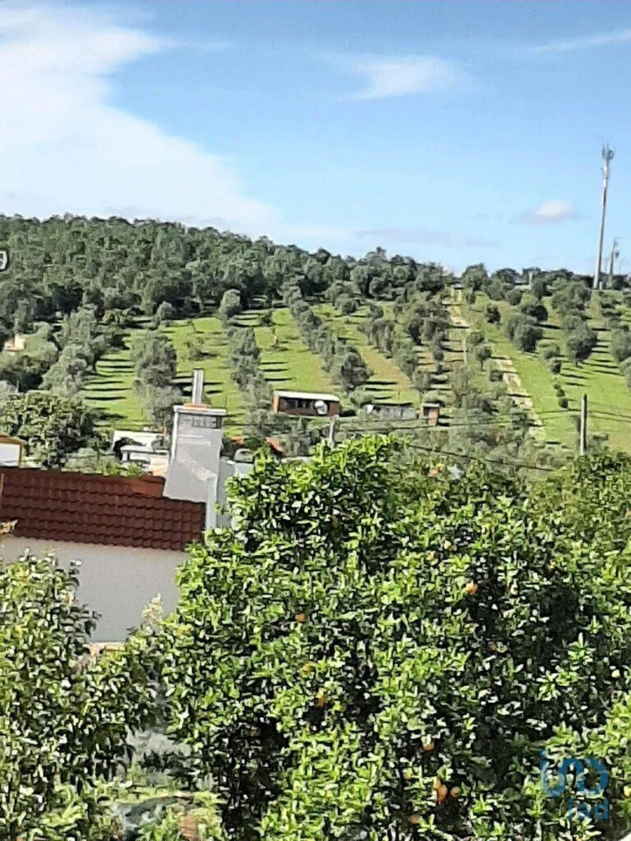 Moradia para Venda em Galveias Foto 3